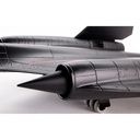 E-Flite - Avion SR-71 Blackbird - BNB - Électrique avec 2 turbines de 40mm - Avec récepteur et servos montés - Sans émetteur ni accu (224S30) ni chargeur