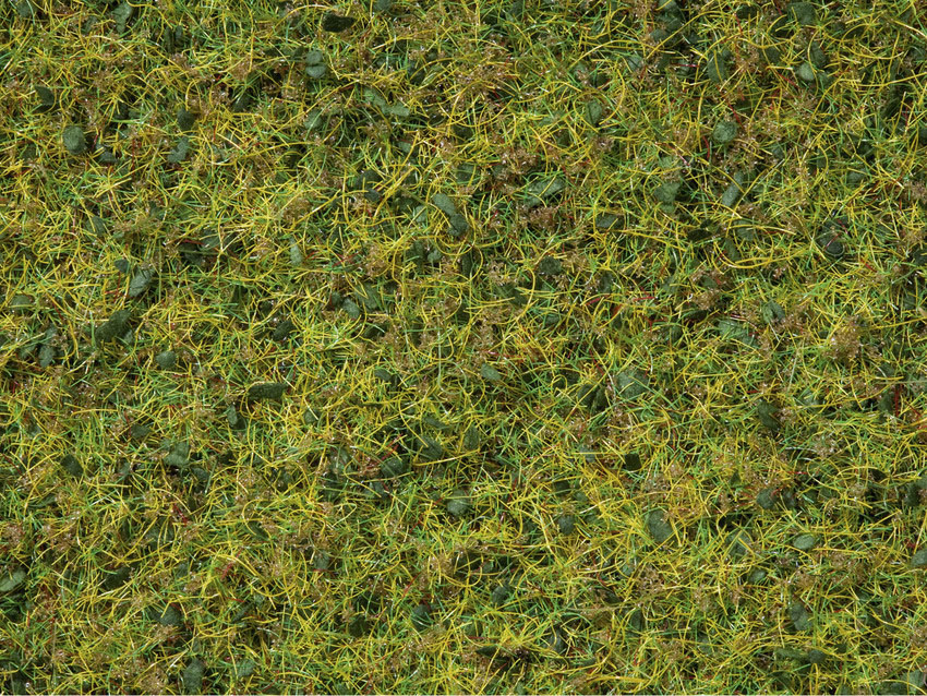 Noch 7073 - Mélange d'herbes - 50 g - 2.5 à 6 mm longueur   