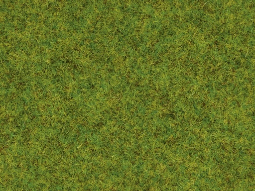 [NOC-08300] Noch 8300 - Herbes "Pré de printemps"  2.5mm - 20 g 